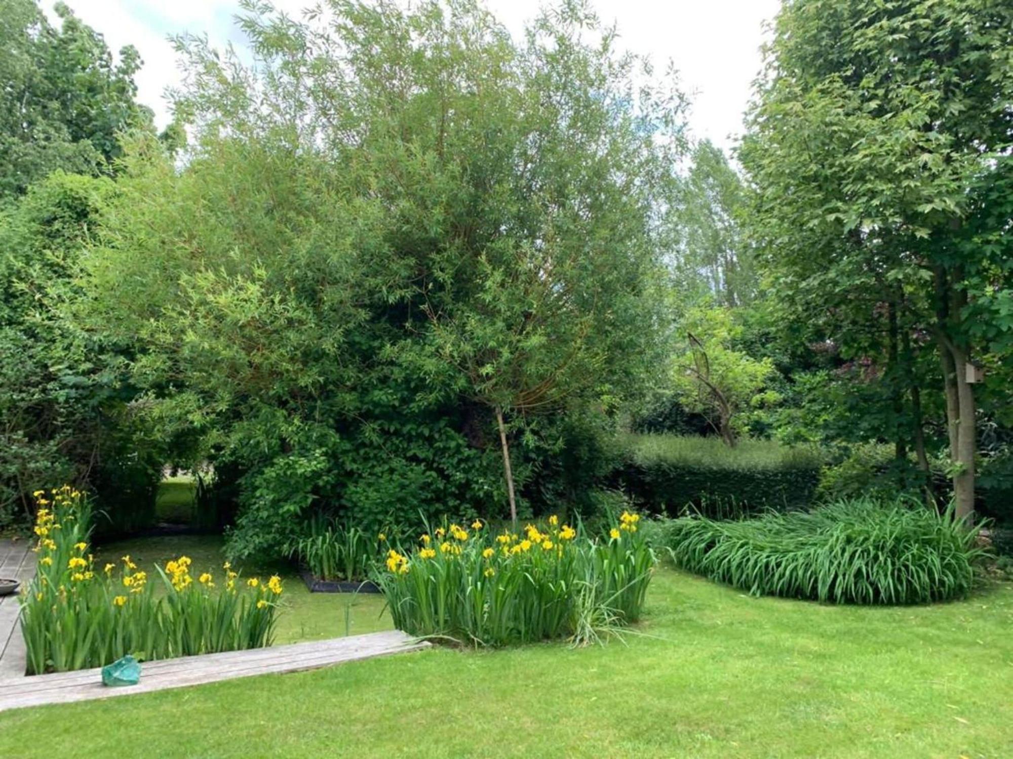 Spacious In The Center Of Vakantiehuis
